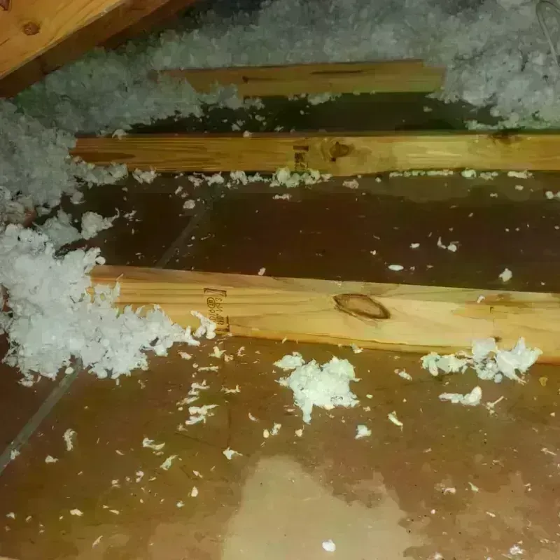 Attic Water Damage in Laurel Hill, VA